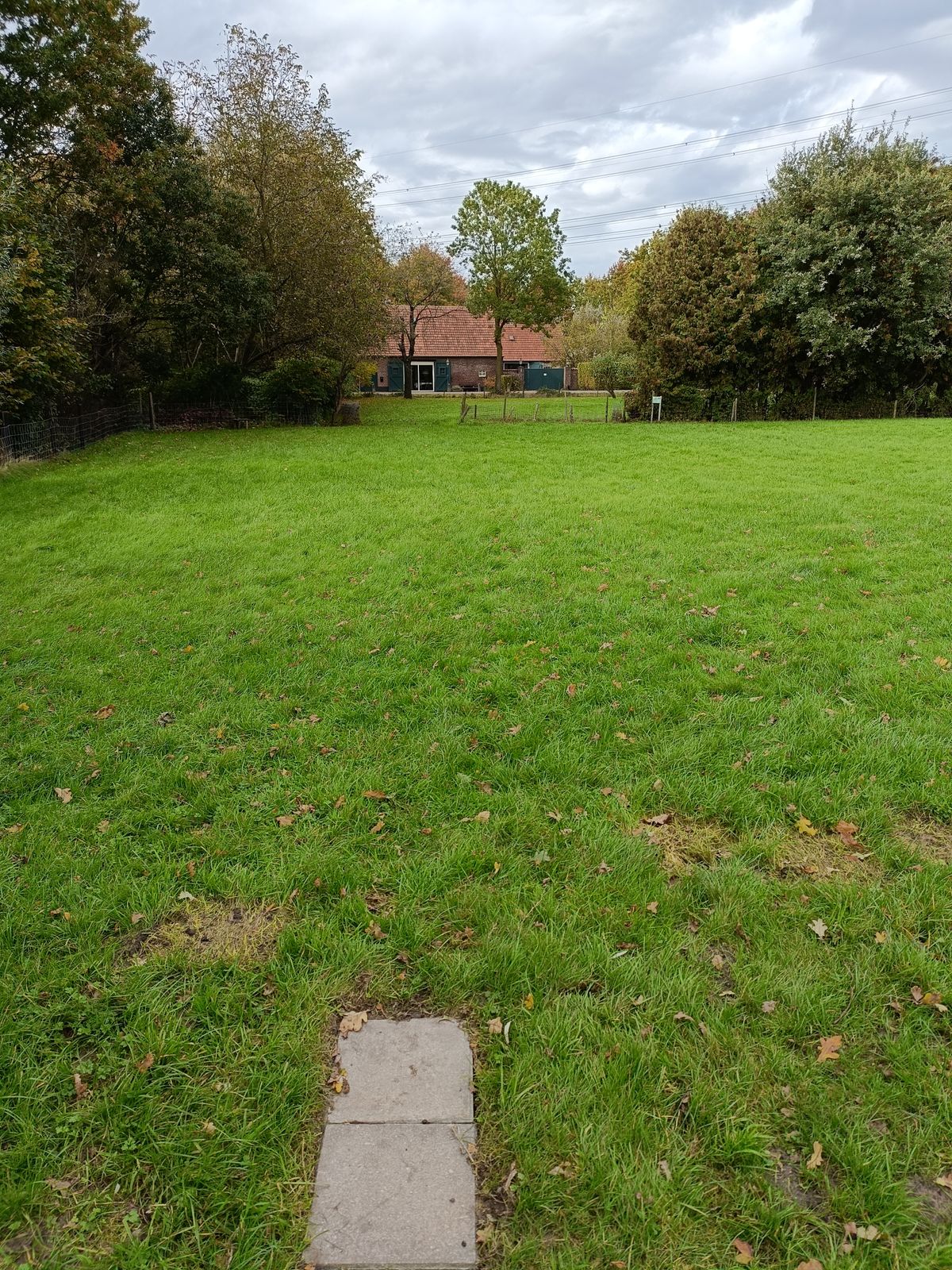 Teepad hole 16