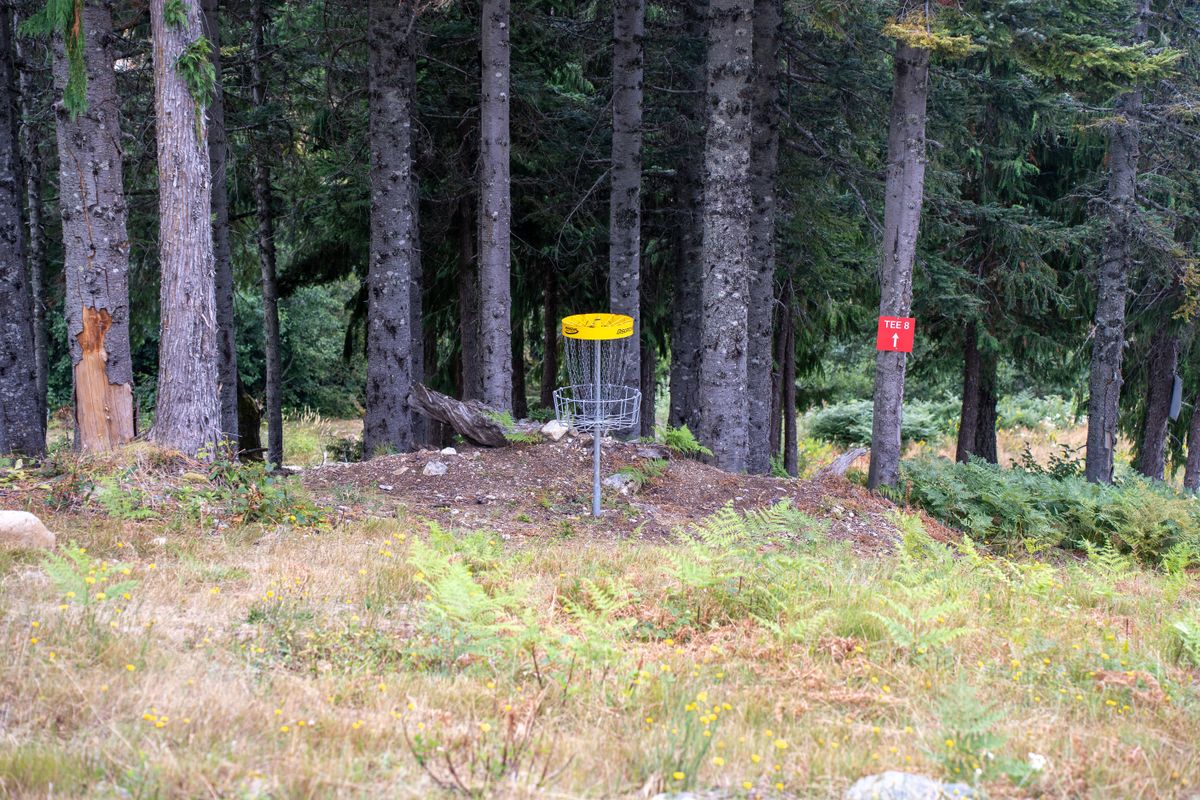Hole 7 green