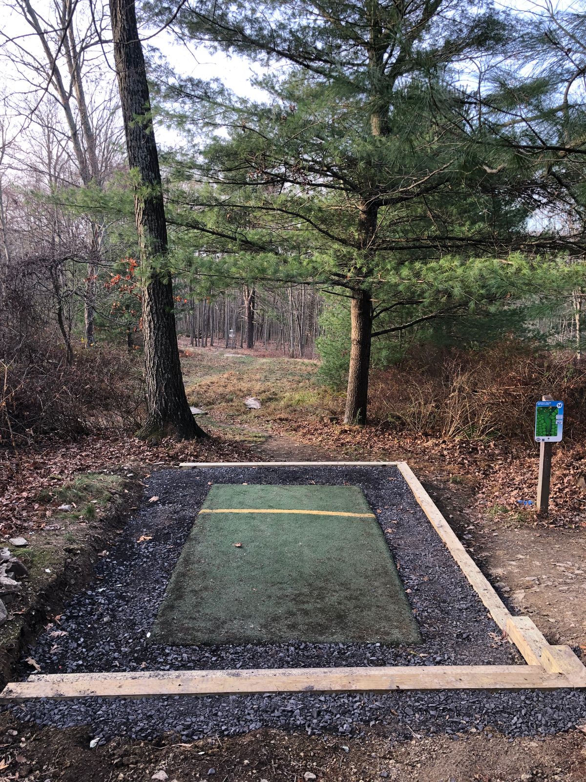 14 tee