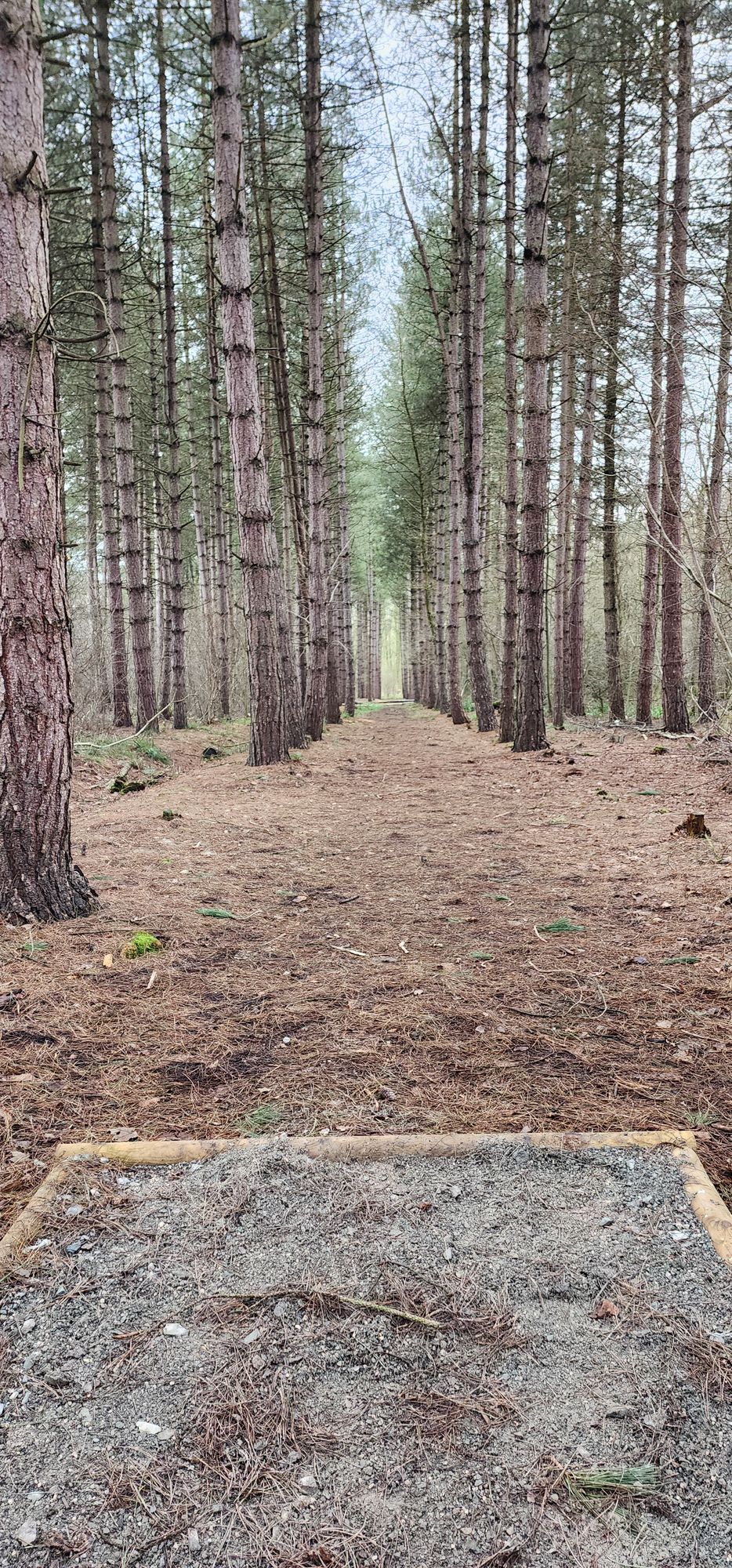 Hole #9 (Winter)
