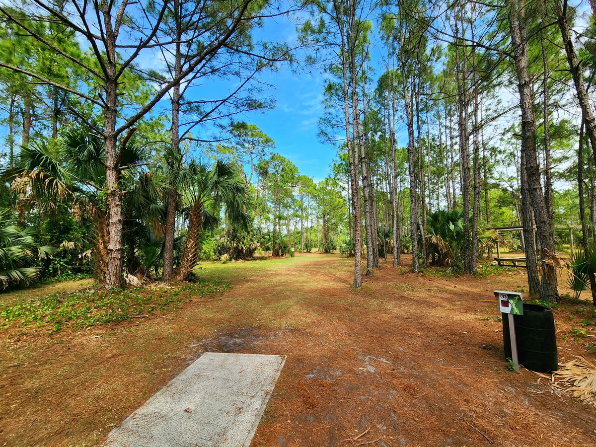 Hole 13 short pad looking down the fairway