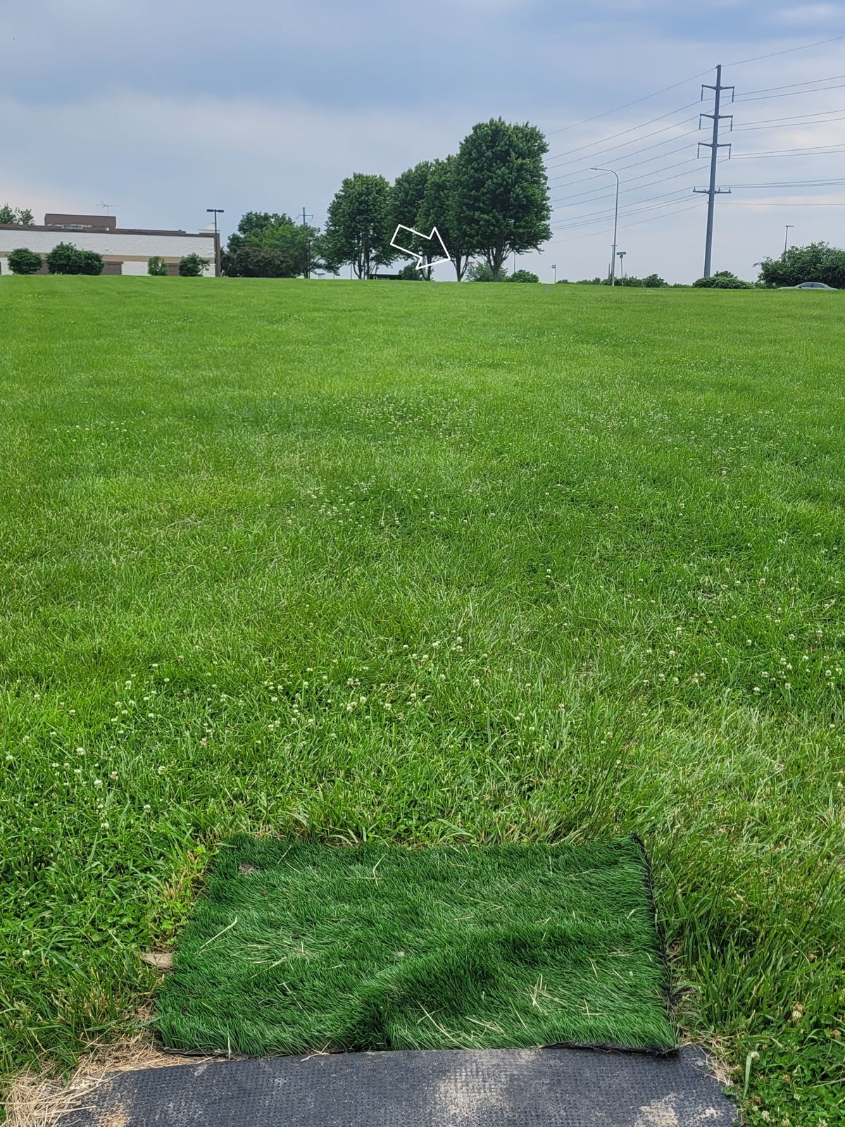 Hole 7 tee