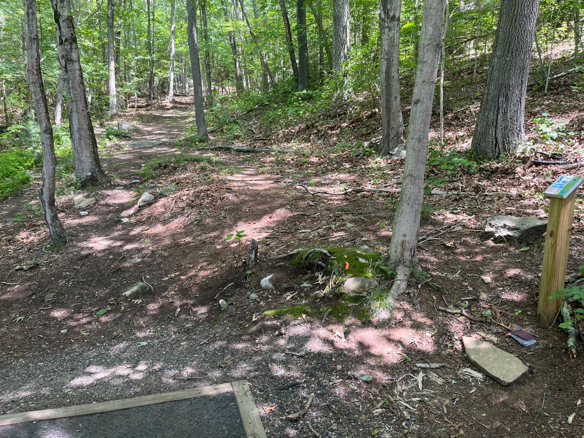 Hole 5