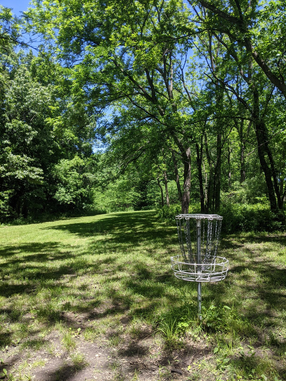 Basket 12 to fairway view