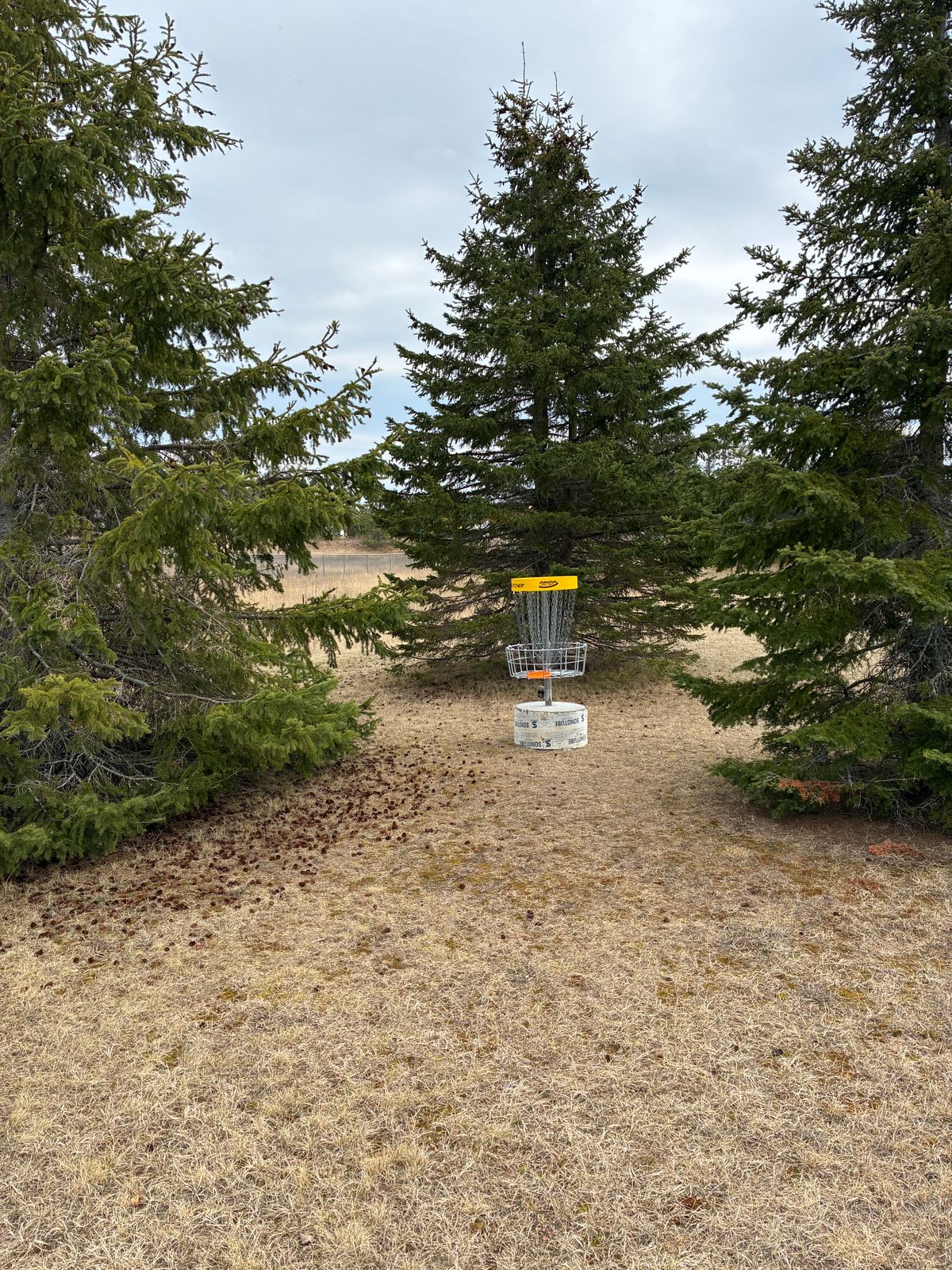 Green of Hole 5
