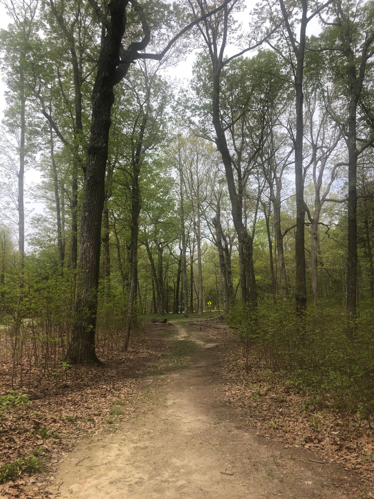 Hole 18