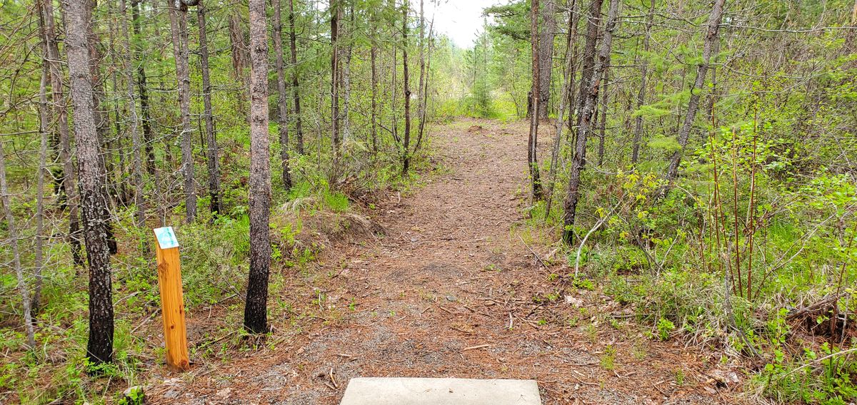 Tee Pad 6