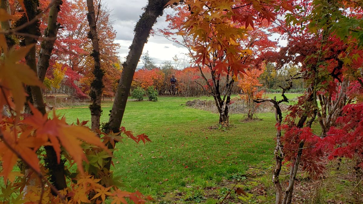 Beautiful Fall colors