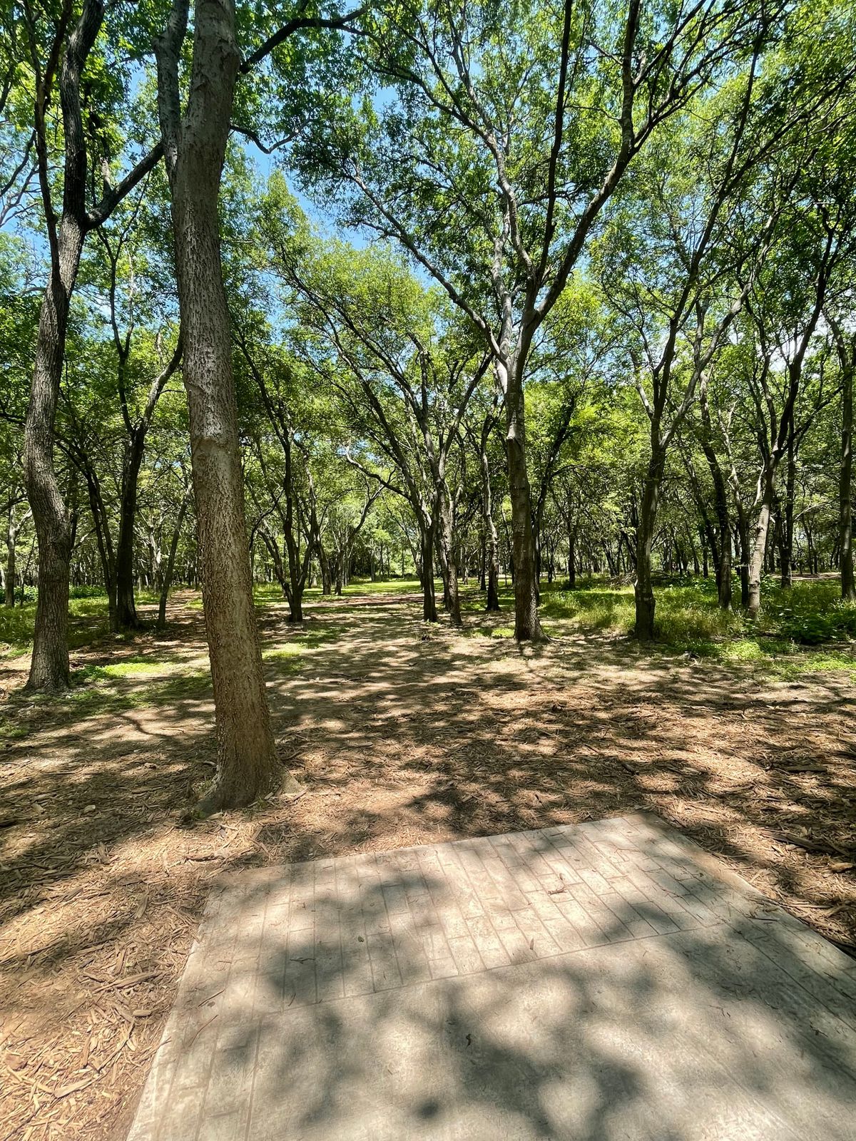 Teebox