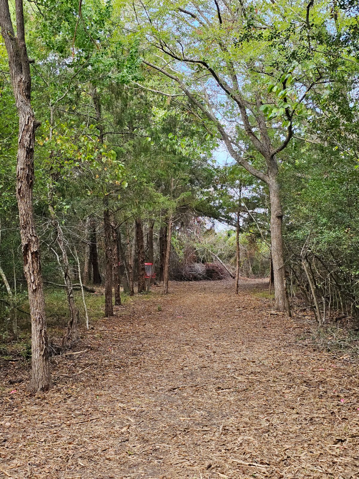 Hole 2 Approach