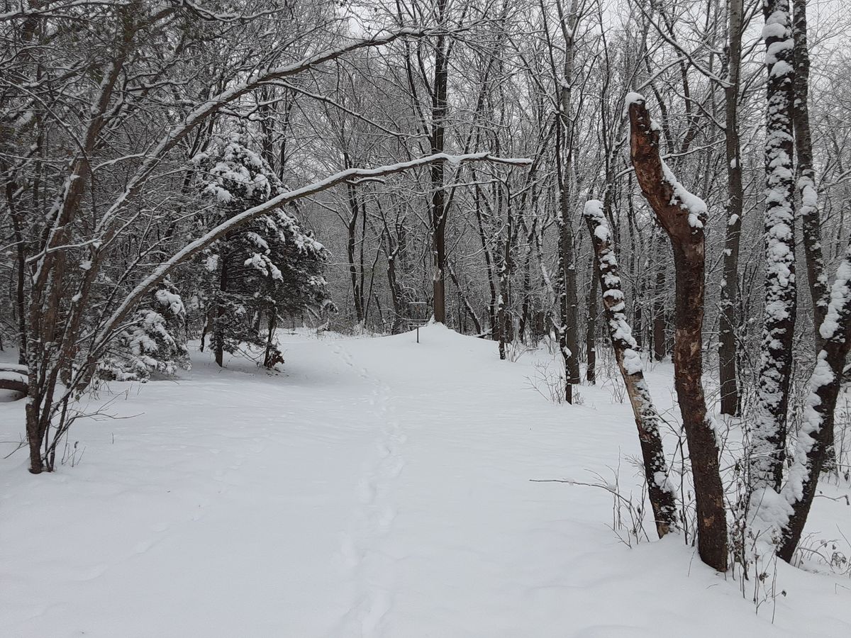 Fresh snow on 15
