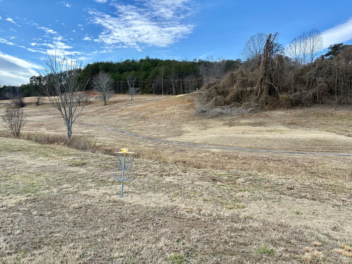Hole 7 Basket to Tee