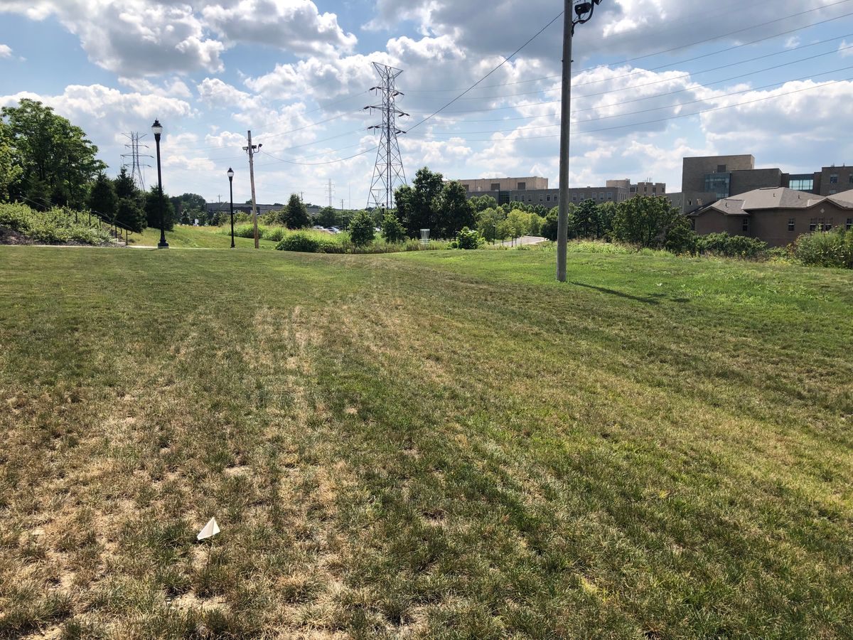 Hole 11 tee
