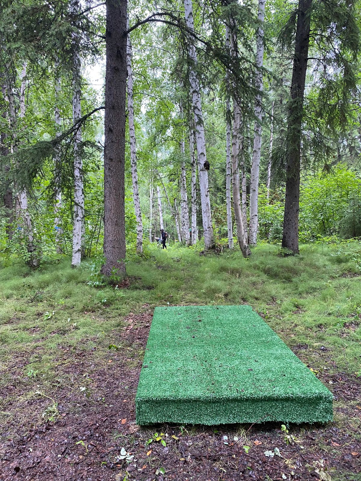 Hole 3 tee pad, natural mando of birch and spruce. Hole tucked to the right of the trail