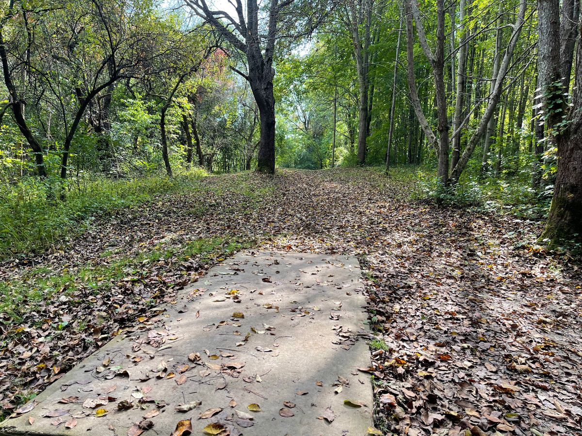 Hole 11 Tee