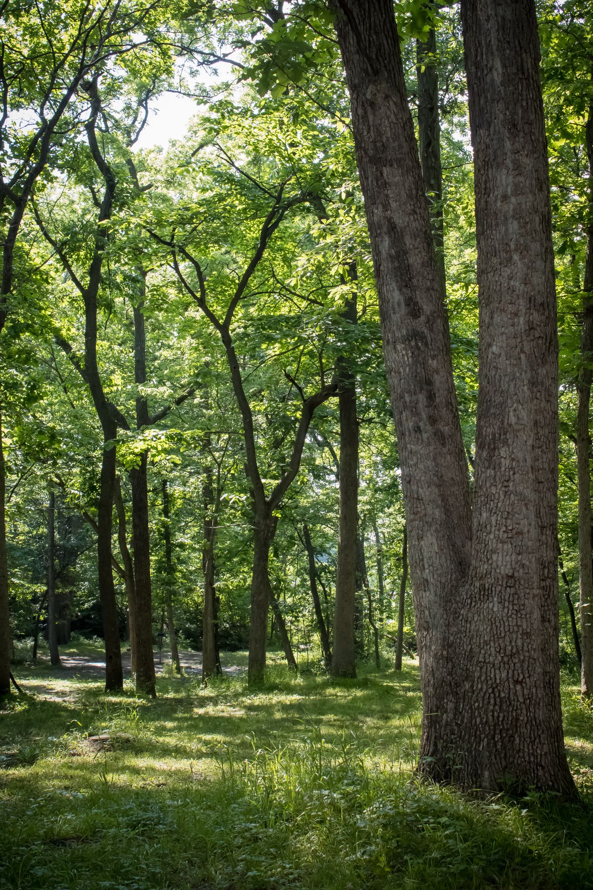 Hole 13