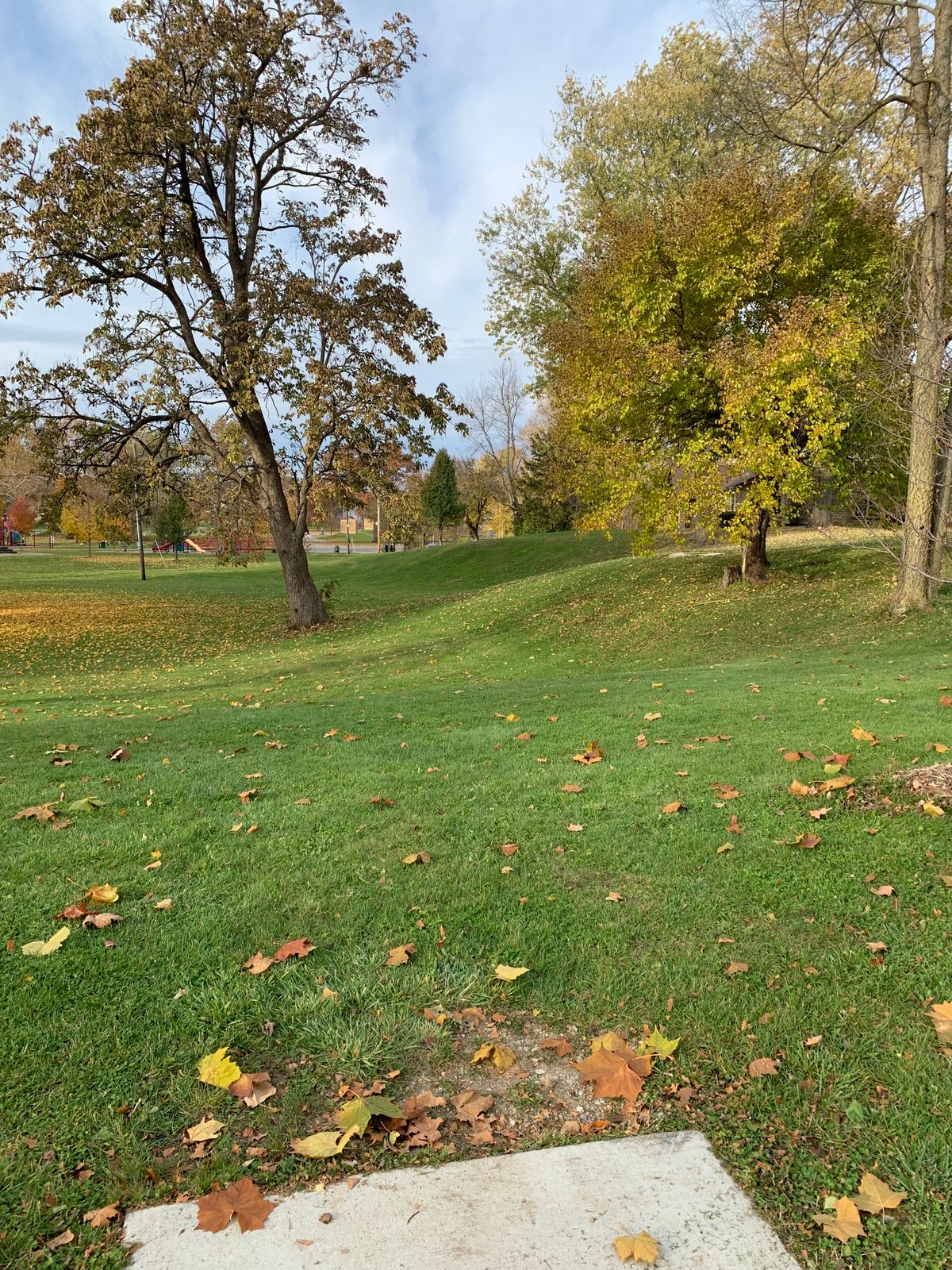 Tee pad 05.