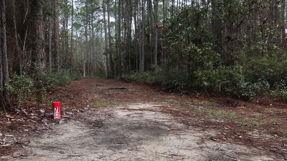 Hole 7