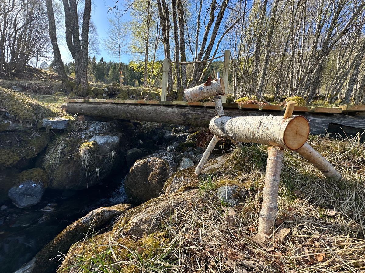 Hvem er det som tramper på min bro? Artige detaljer.