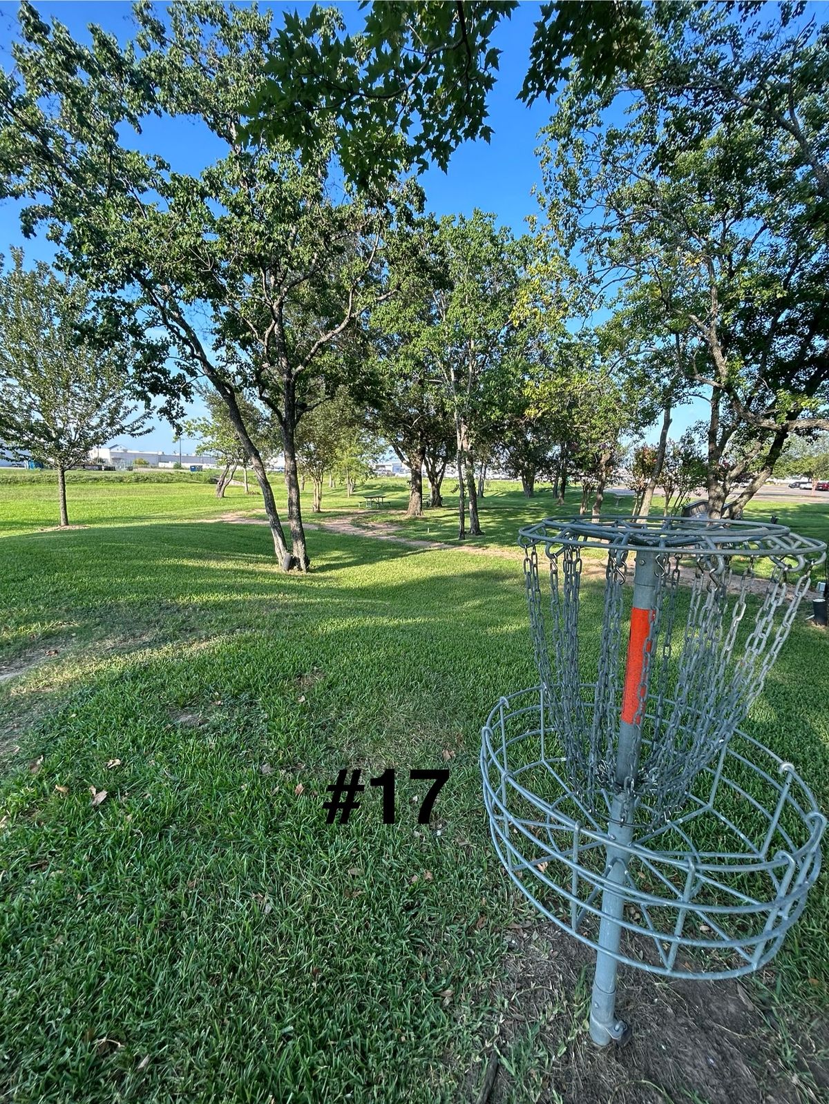17