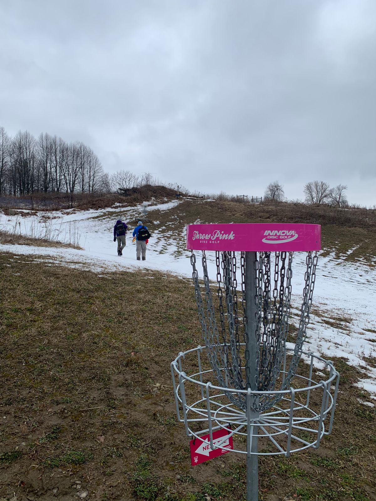 Hole 8, looking up to the long basket and the 9th tee.