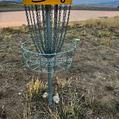 Beautiful morning for disc.
