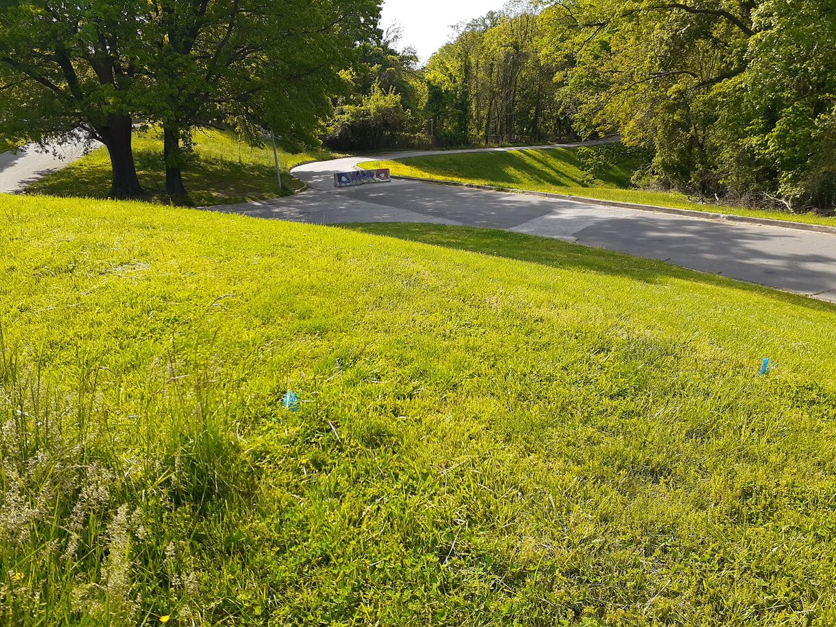 Hole 4 Tee