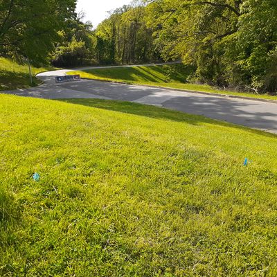 Hole 4 Tee