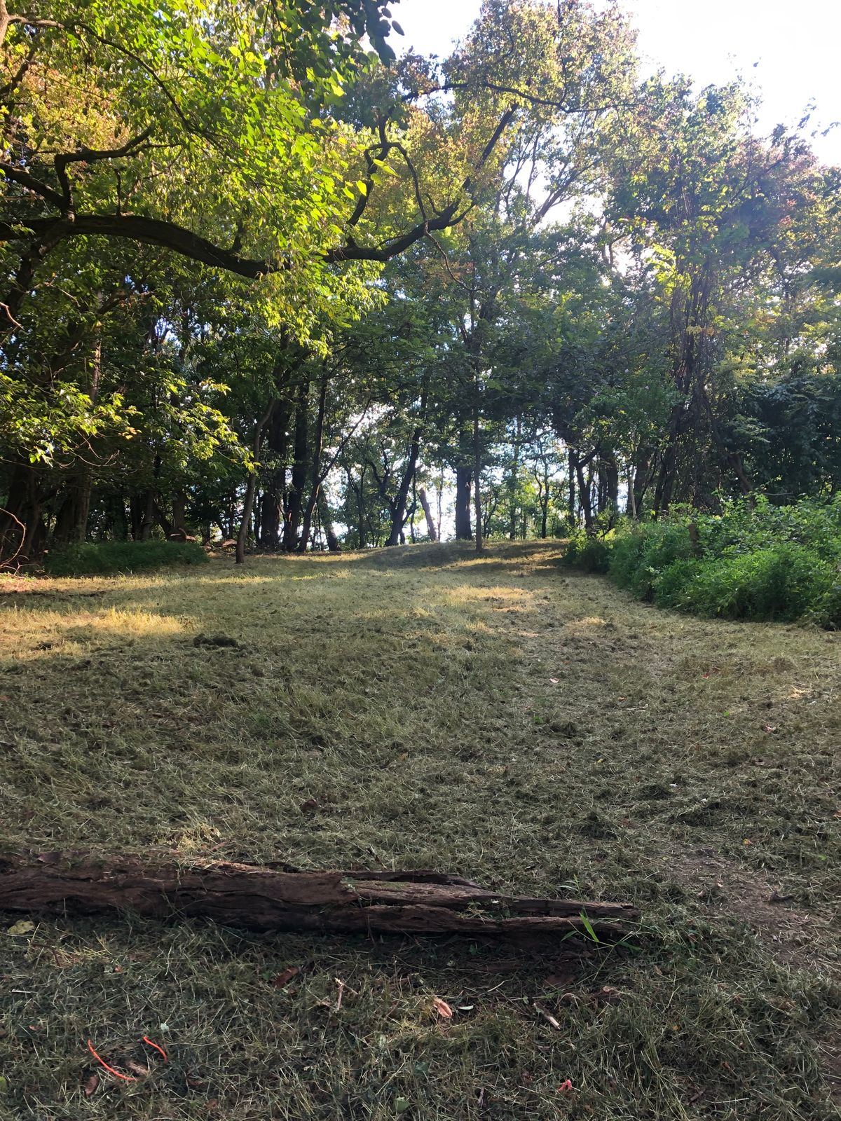 Fairway of hole #3.  Basket is hidden behind the trees on the left side.