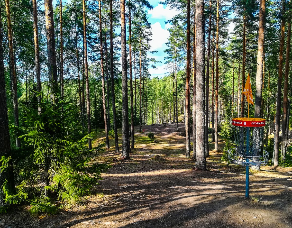 Kippis Pro 6 basket