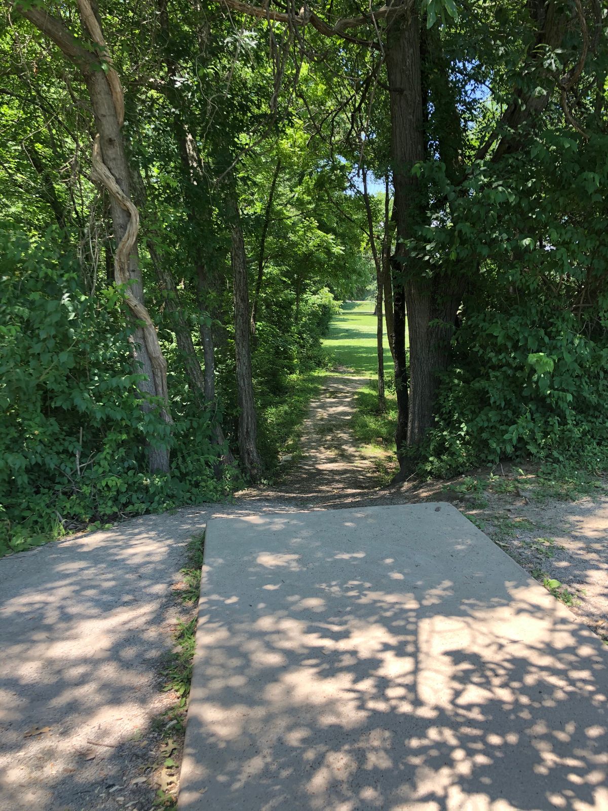 Hole 16: Tee Box