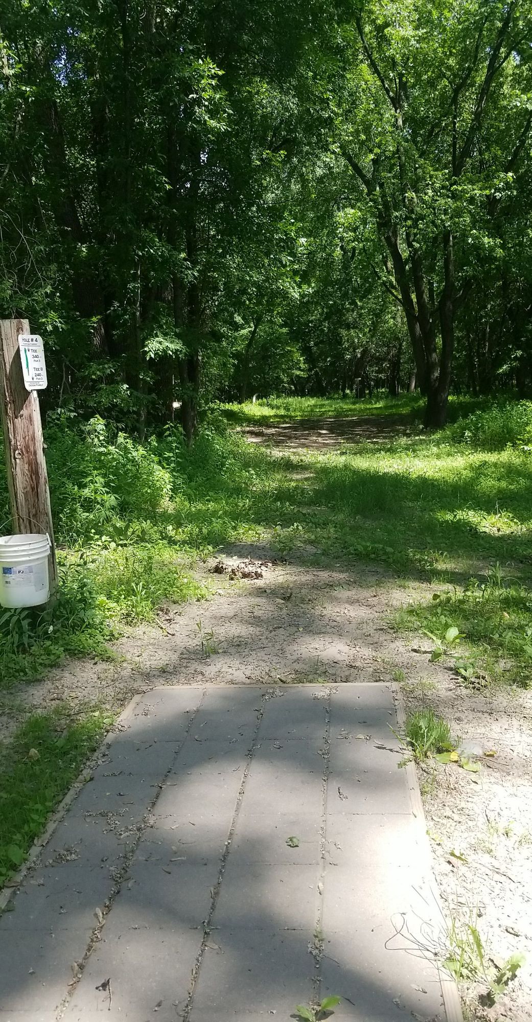 Hole 4 tee