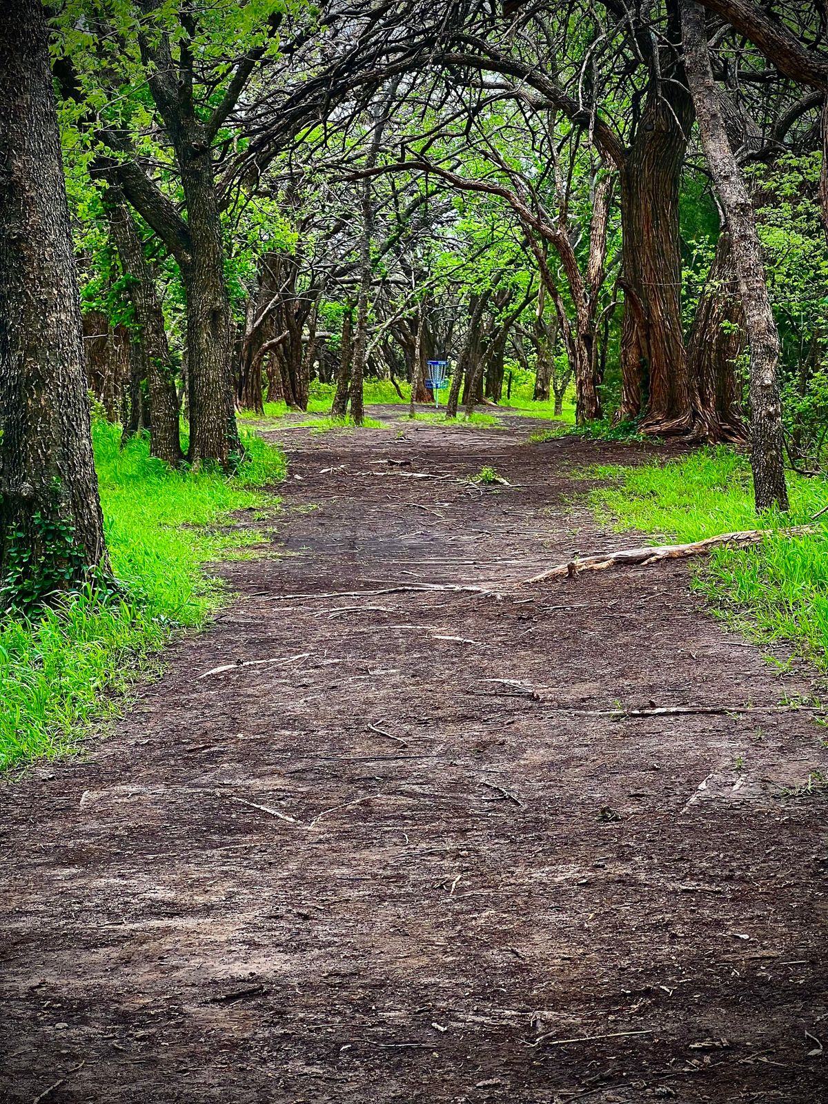 Hole 11 fairway