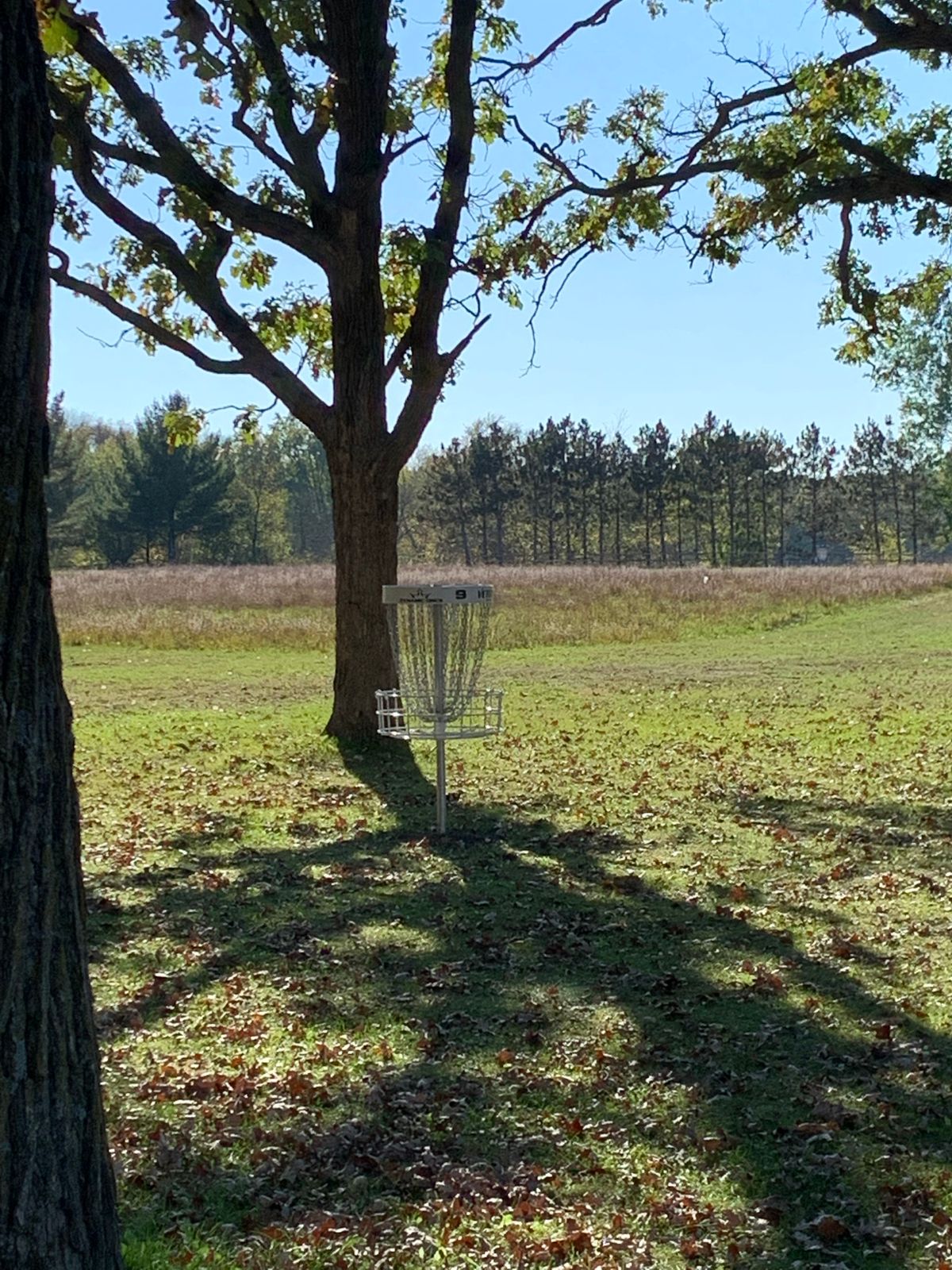 Hole 9 basket.