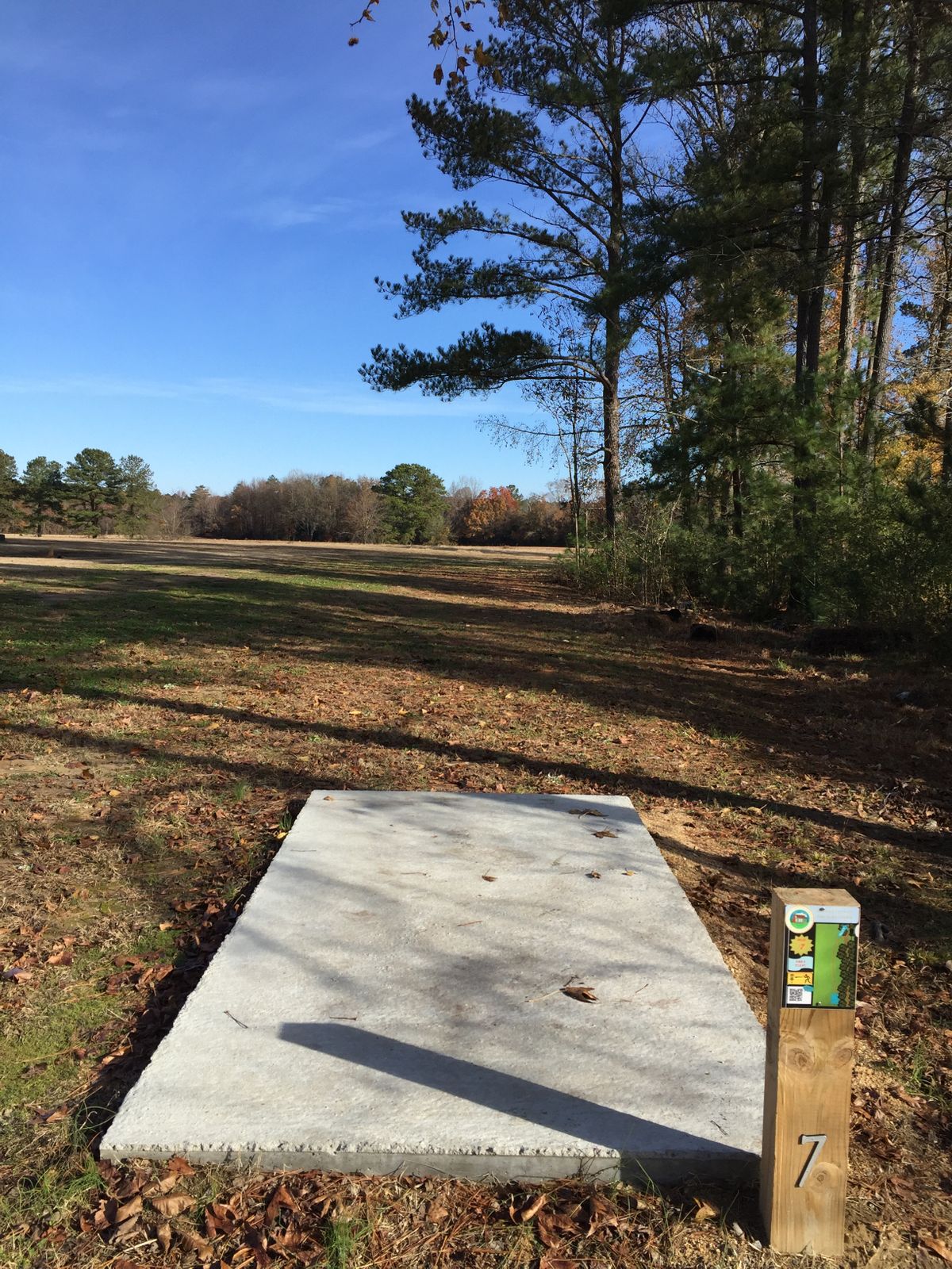 Hole #7 Tee