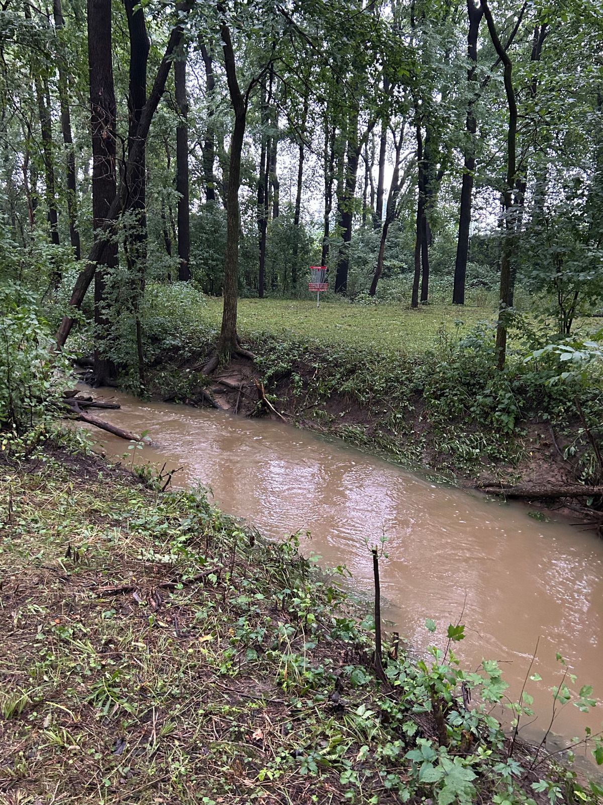Water runs through the creek on #6 when there has been 4 inches of rain in the past 36 hours.