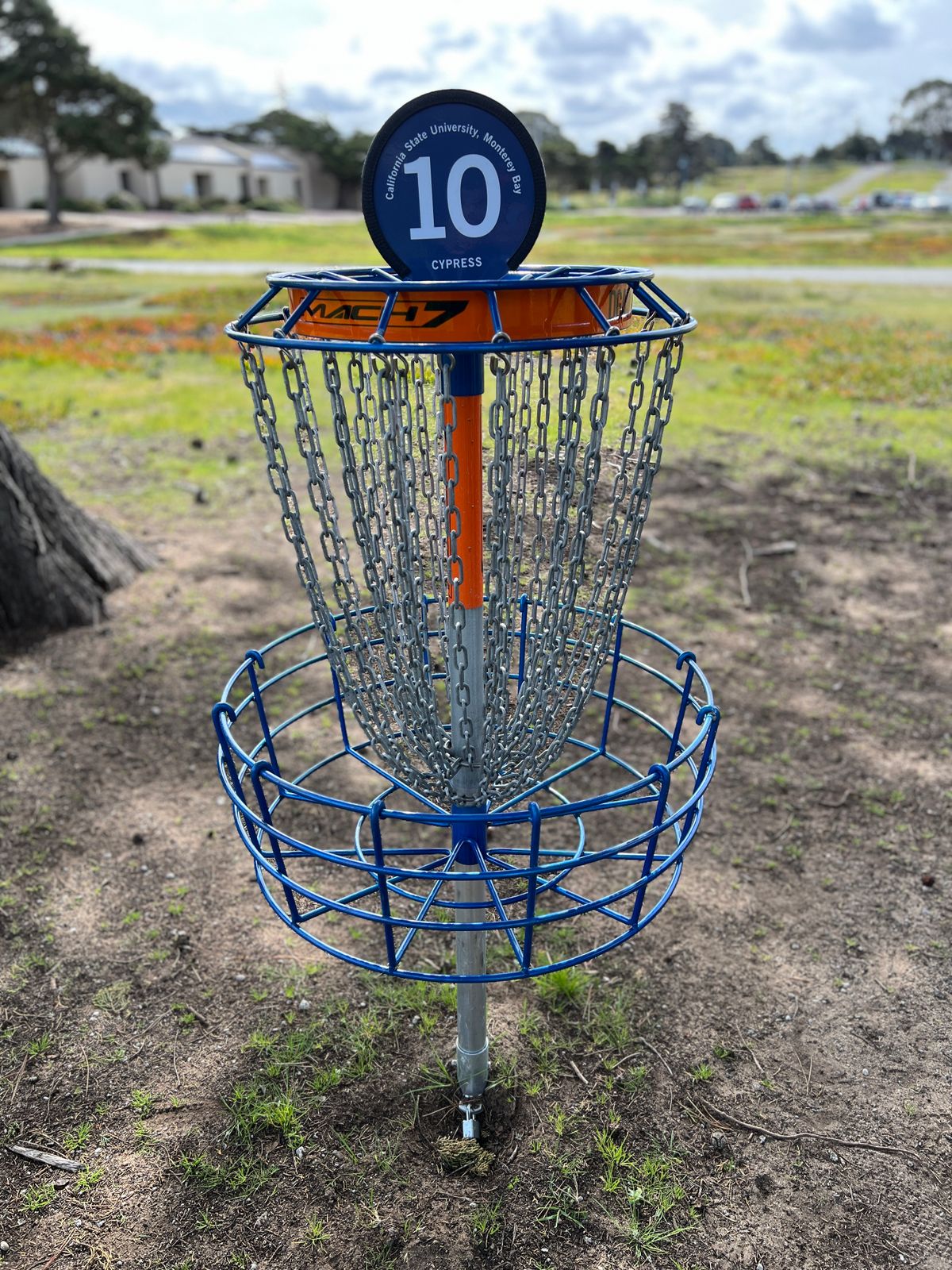 Hole 10’s new basket.