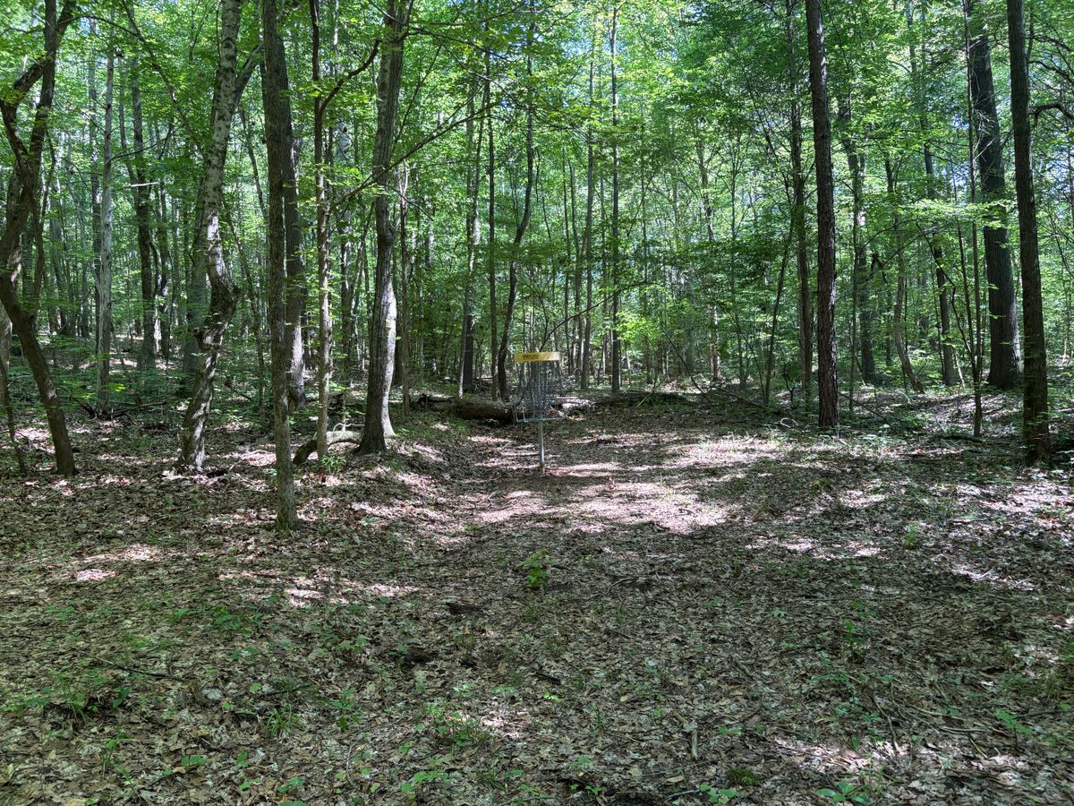 Hole 8 approach