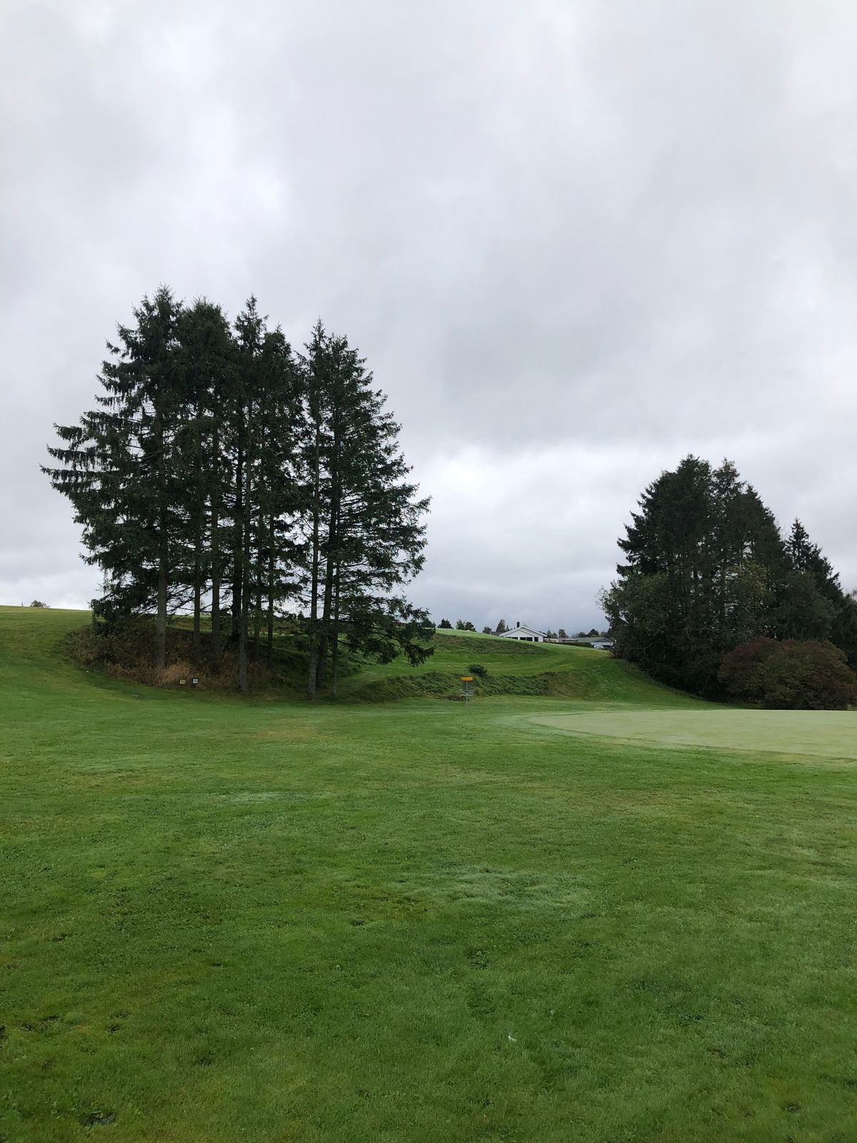 Hole 15
