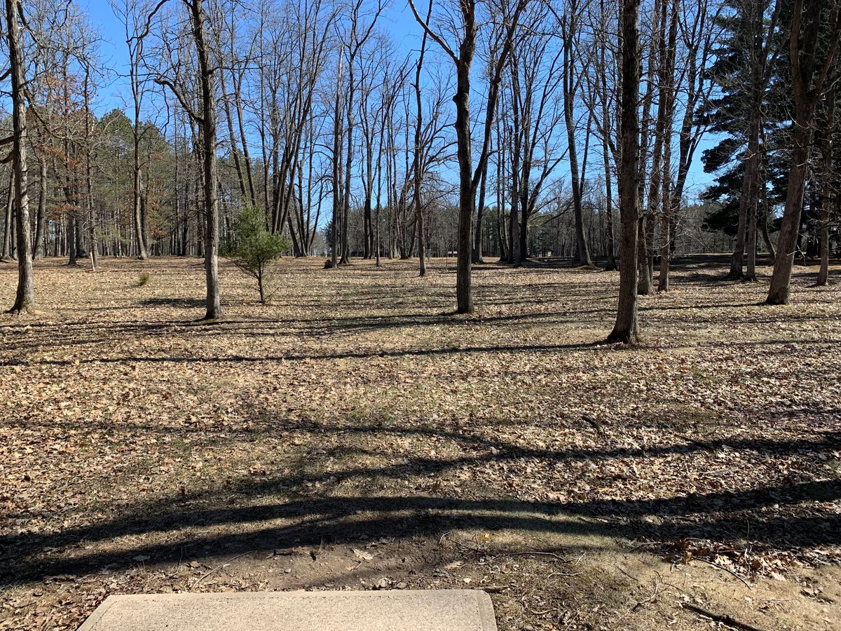 Hole 5 tee (short)