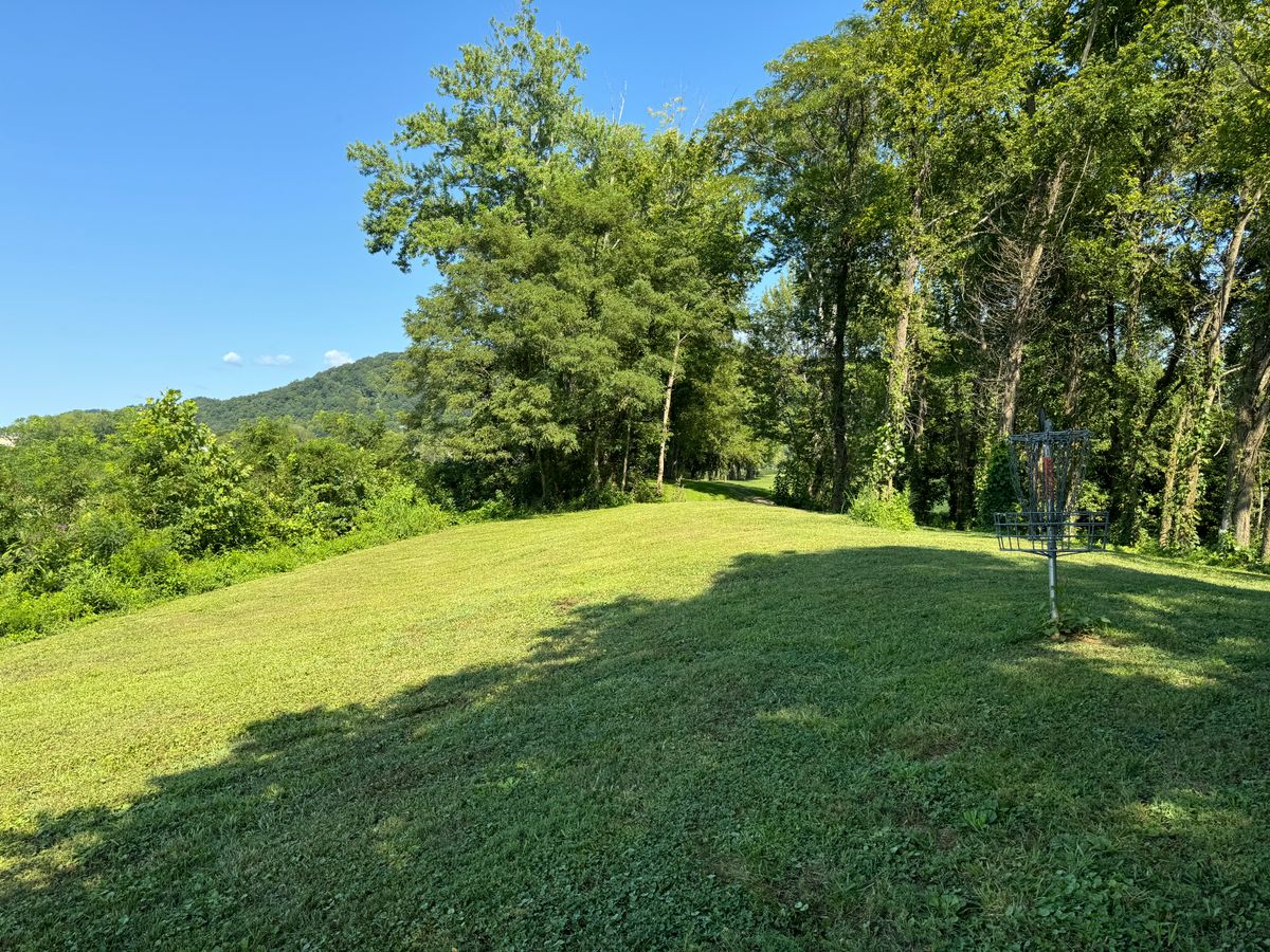 Hole 5 Basket to Tee