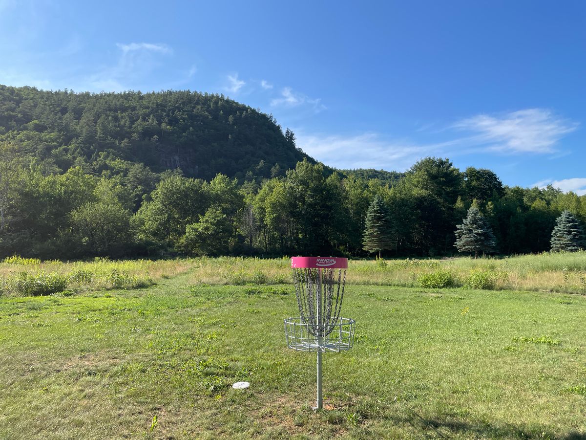 #2 Basket view
