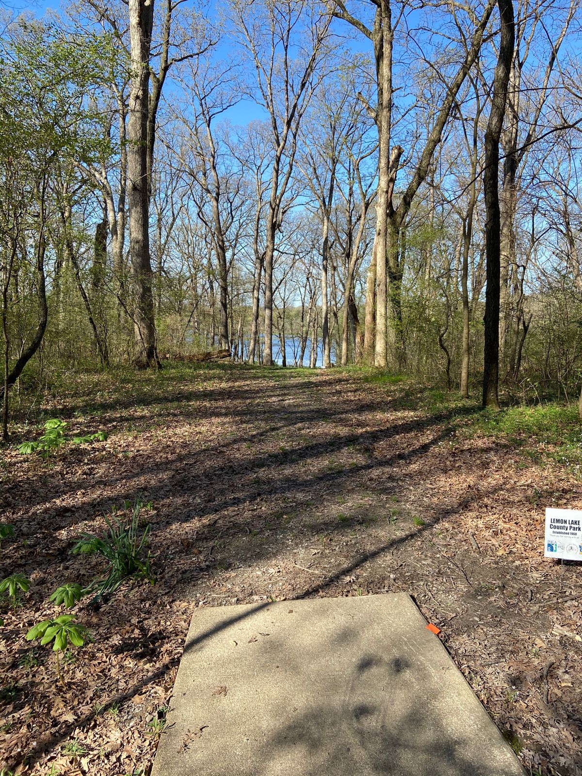 Tee of hole 3. Downhill 396 feet. Water is about 20 feet past the pin.
