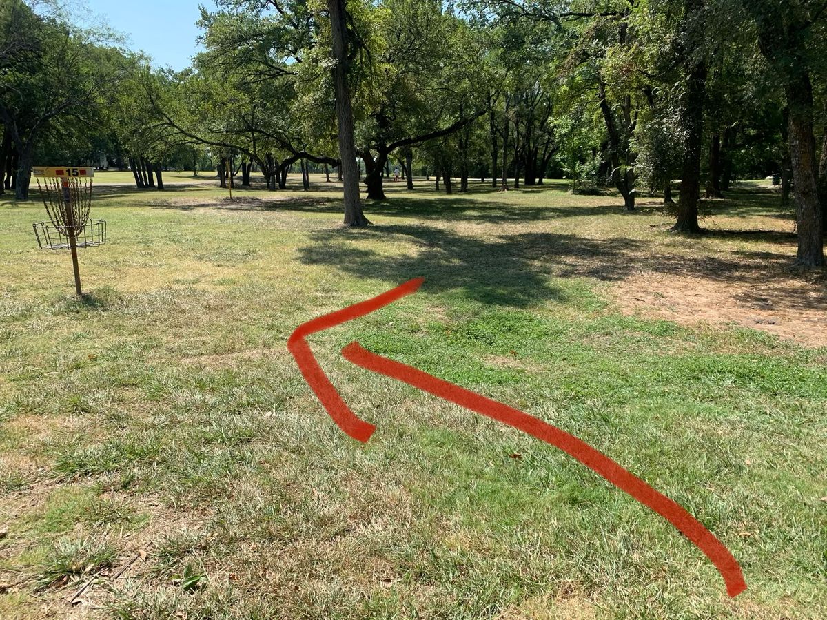 Hole 15 Basket.