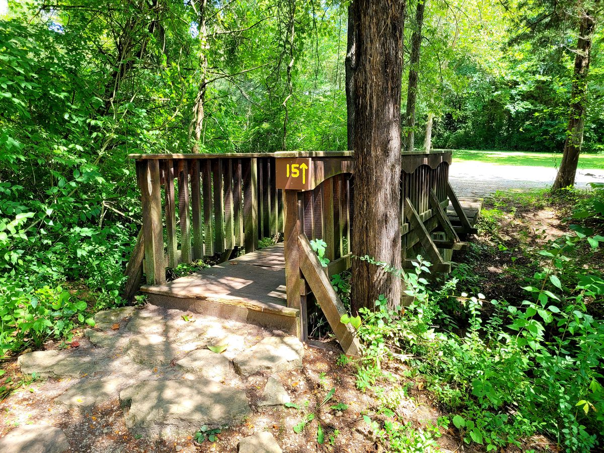 Bridge to Hole 15