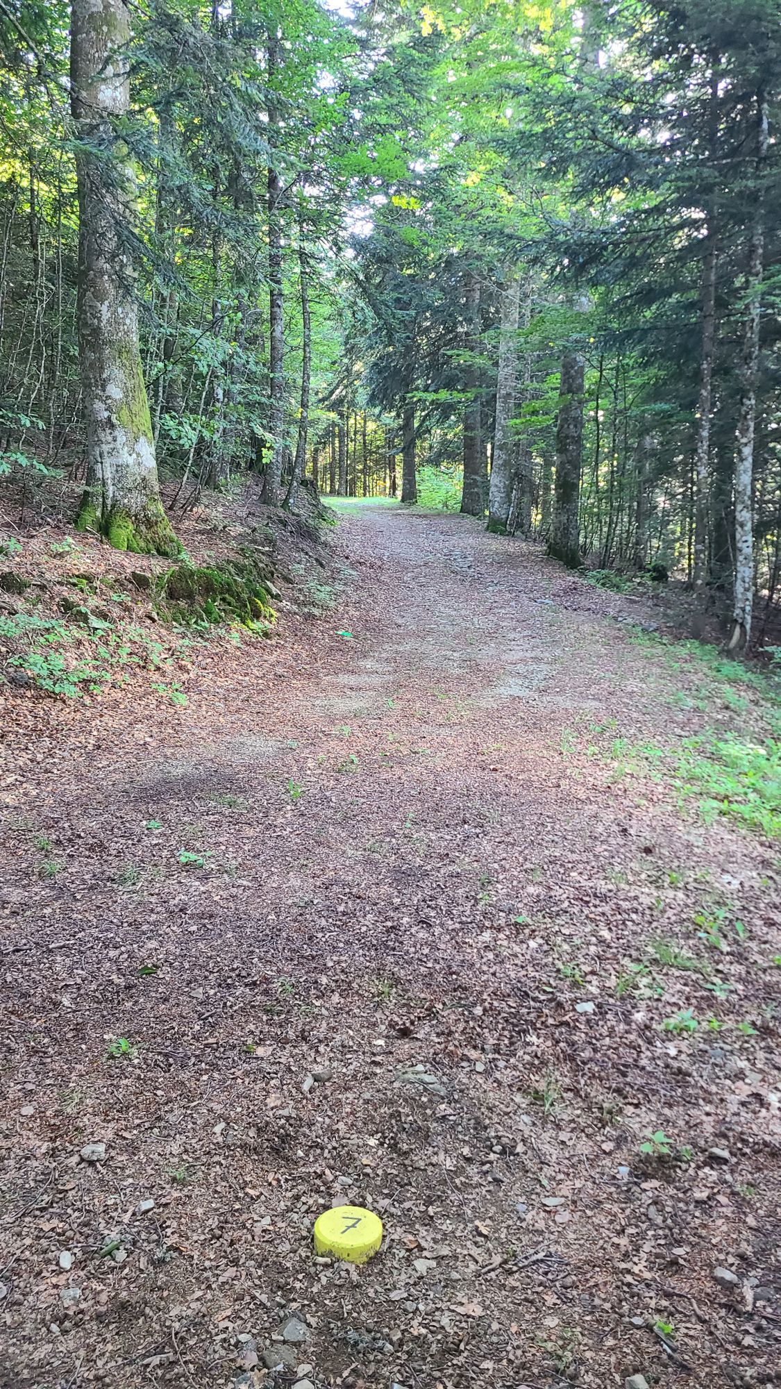 7 Débutant