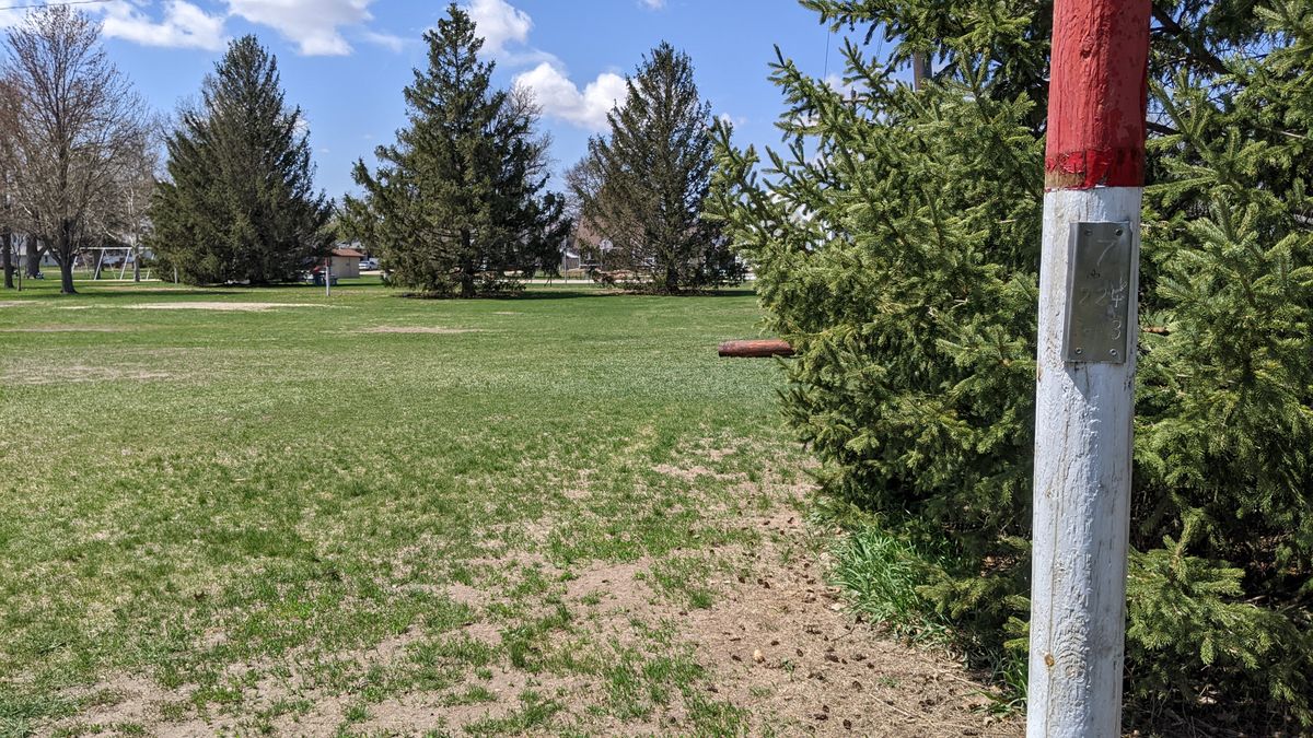 Tee #7