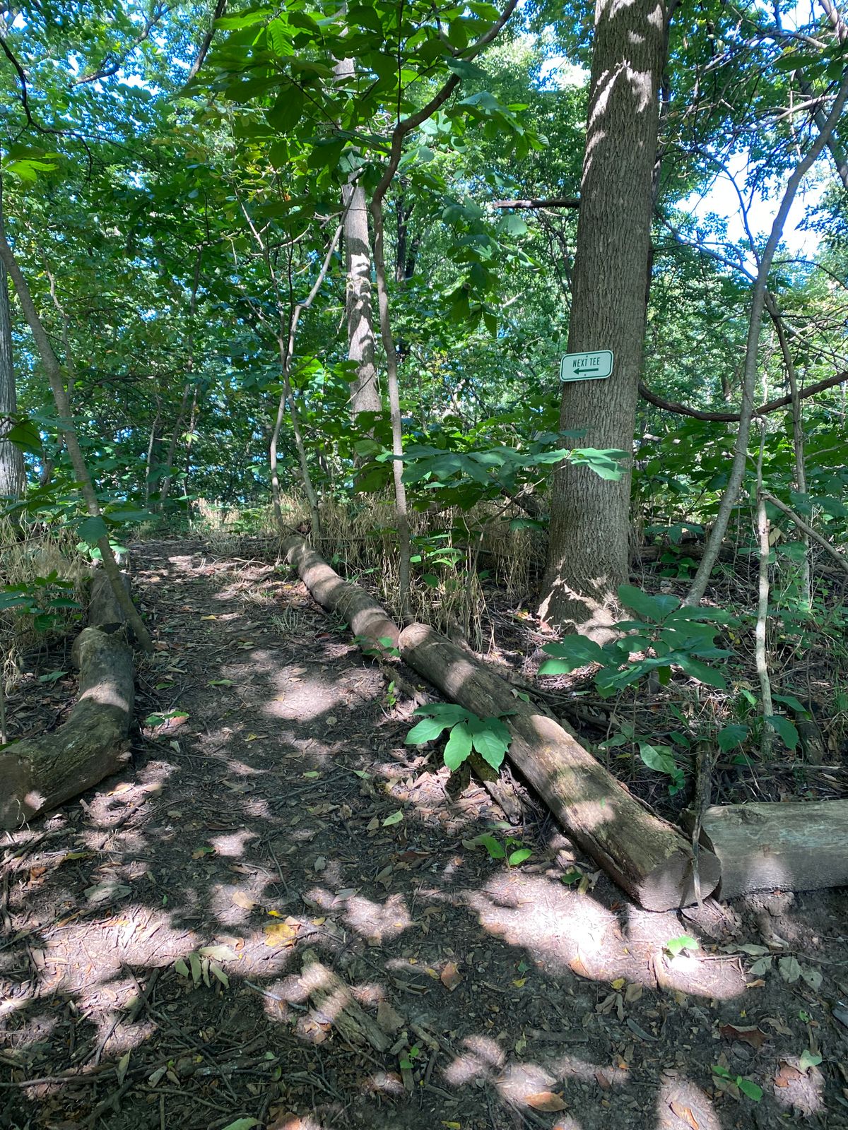 Path from Hole 3 to Hole 4