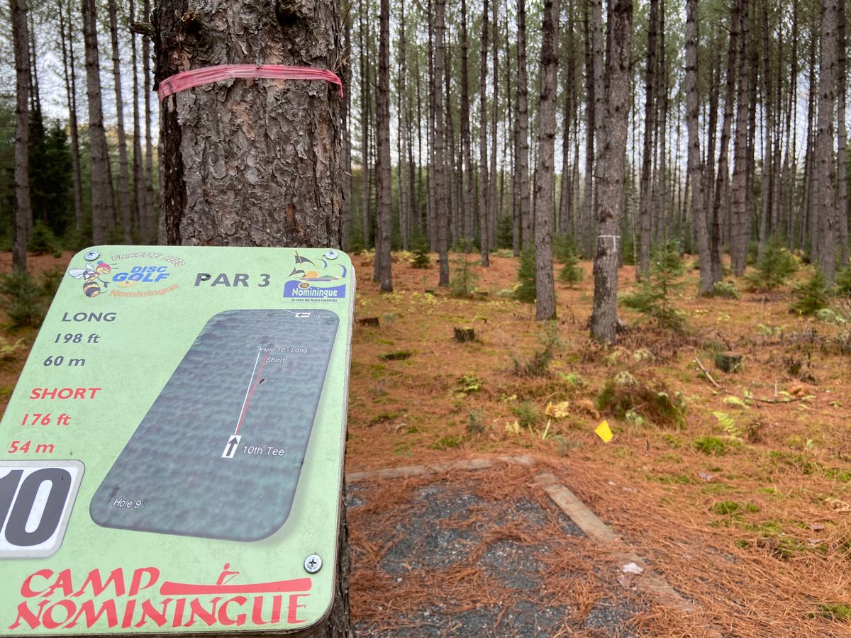 Tee 10