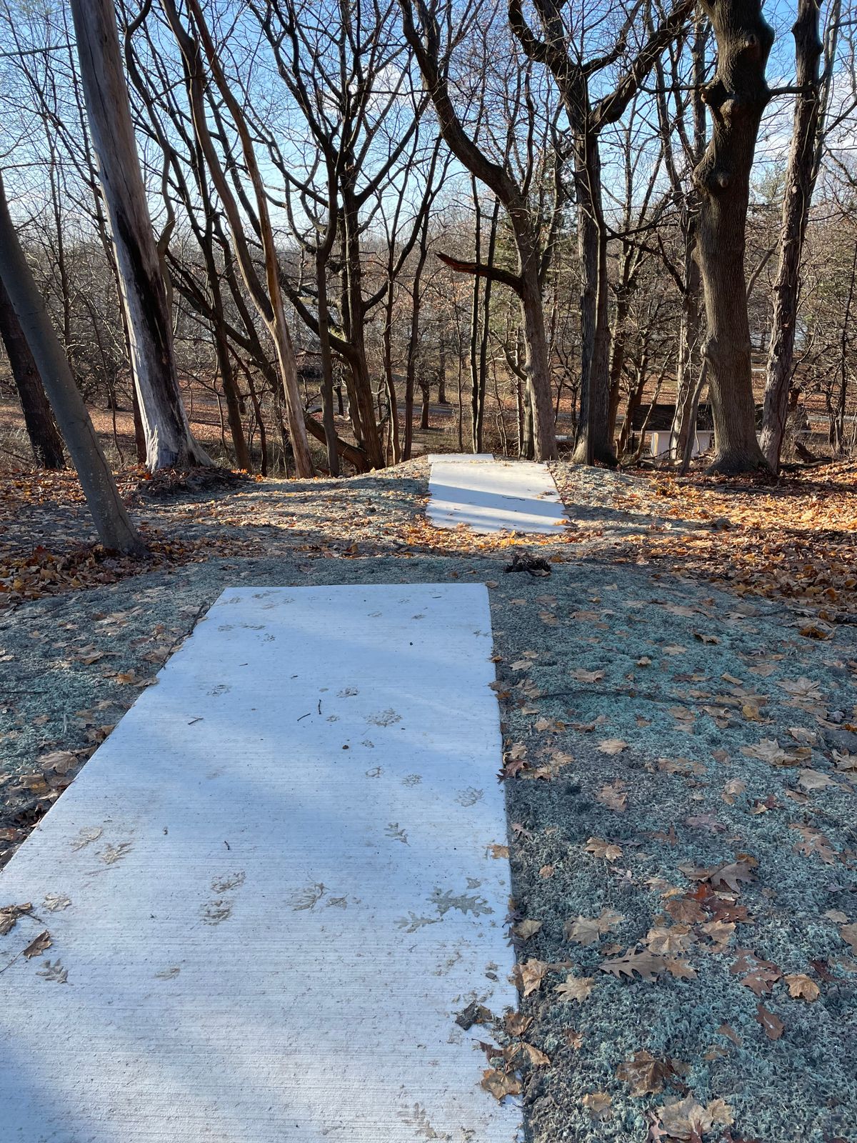 Hole 8 Blue and White tee pads